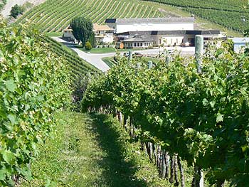 Gehringer Brothers Estate Winery - Okanagan Valley Wines